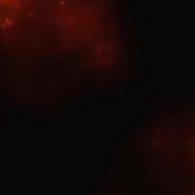 diablo 3 expansion reaper of souls